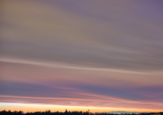 Erik Brammer - Springs and Seasonsl